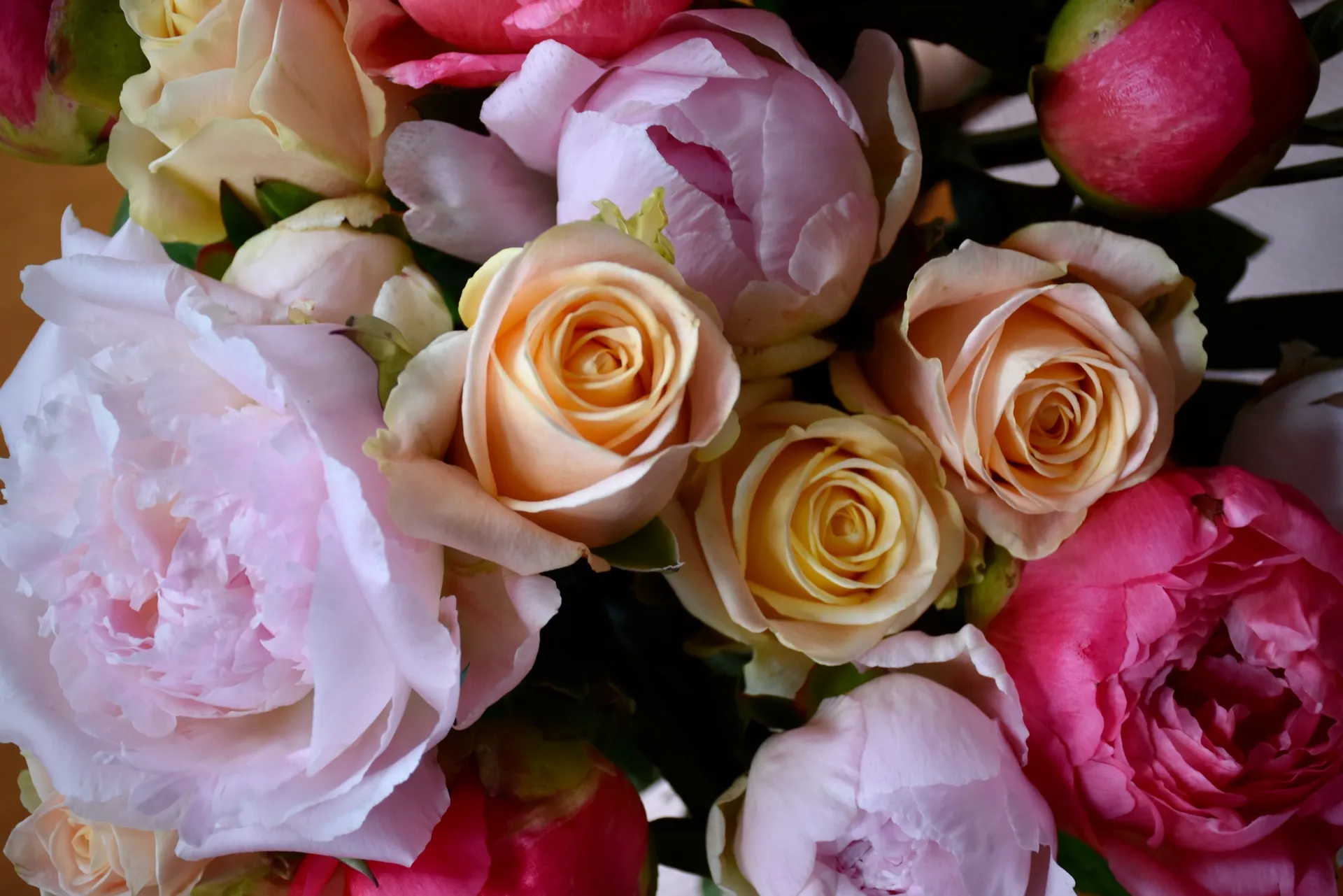 Roses background